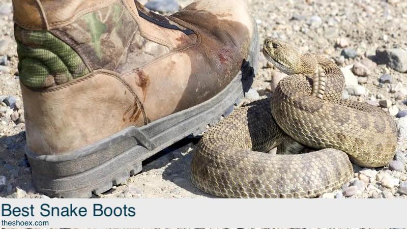 Best Snake Boots